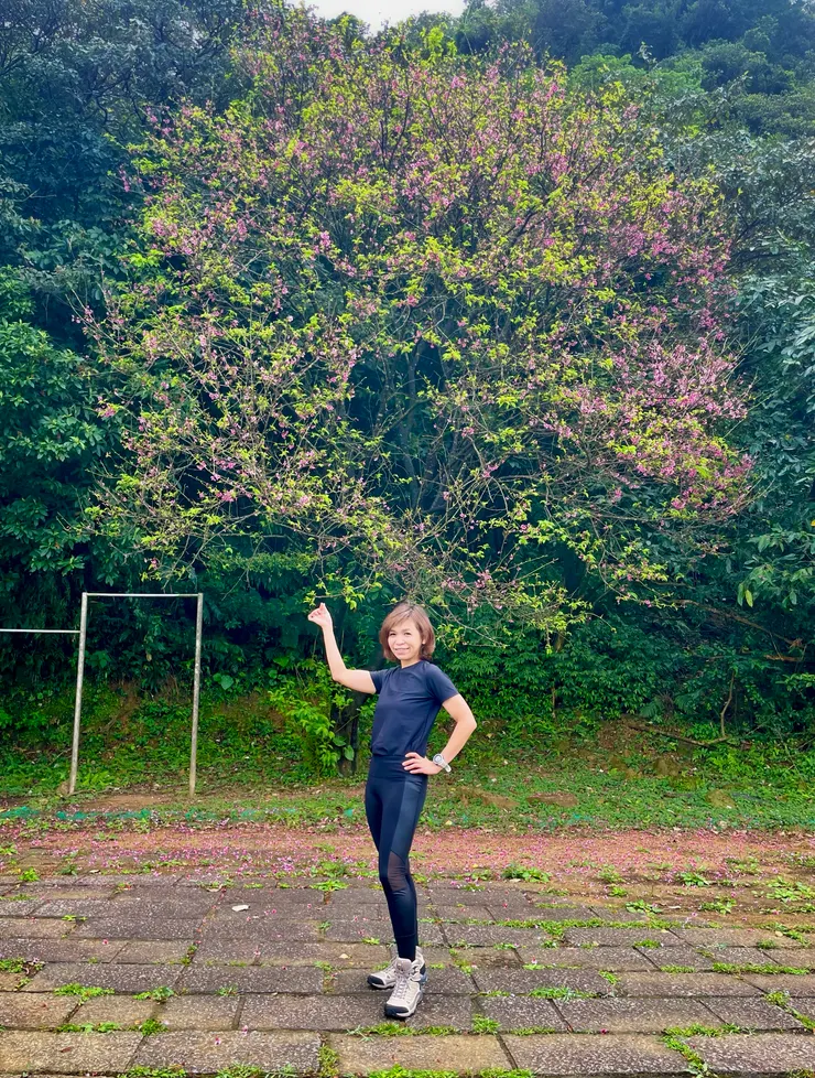 觀景台附近空地開滿花的樹與me