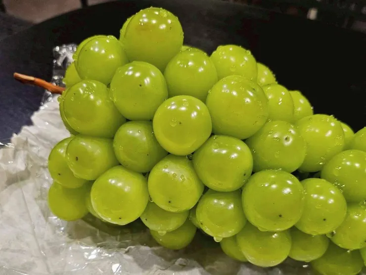 我們的心得是 : 為什麼韓國的葡萄這麼好吃阿 ?  就算在台灣吃韓國麝香葡萄也沒這麼好吃阿... 