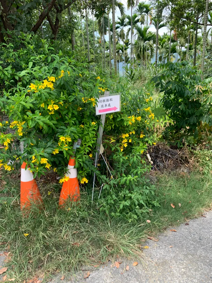 下坡時會看到回程接駁乘車處，雖然是條小徑，但走進去就對了