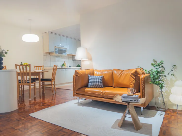 圖照來源：SAND Partners