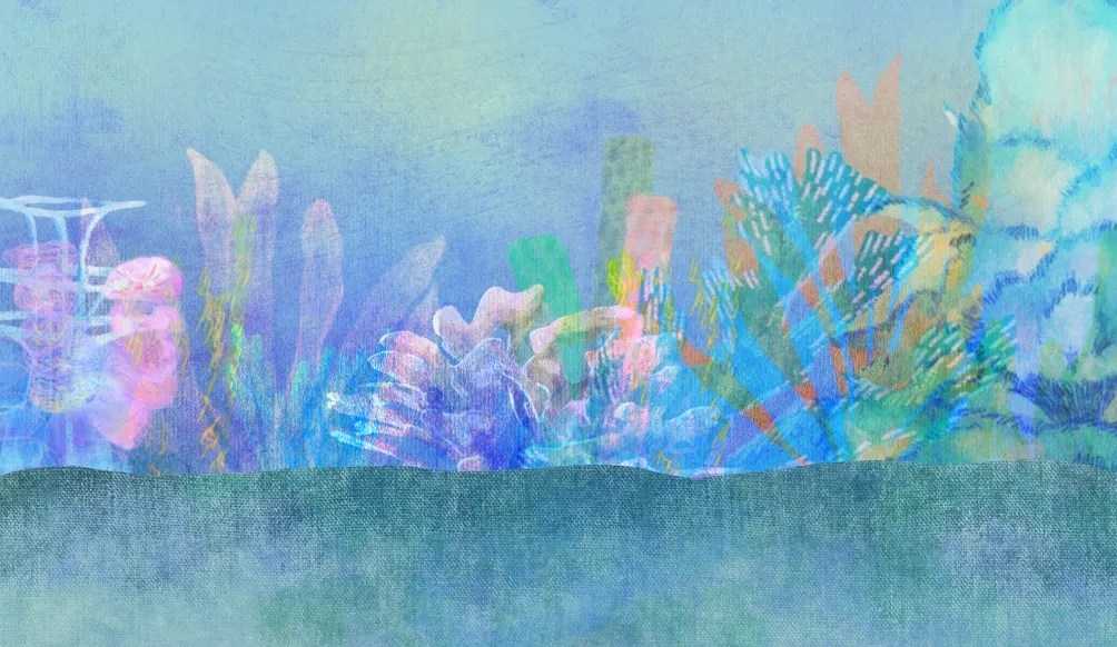 木曦Mushi的沙龍