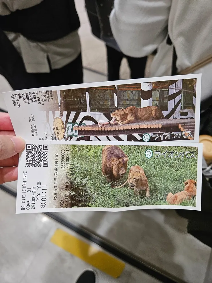 終於買到獅子巴士的門票了，500日幣