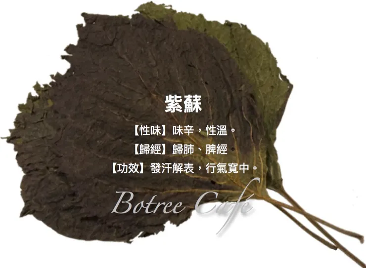 那些家常廚房配角們：紫蘇