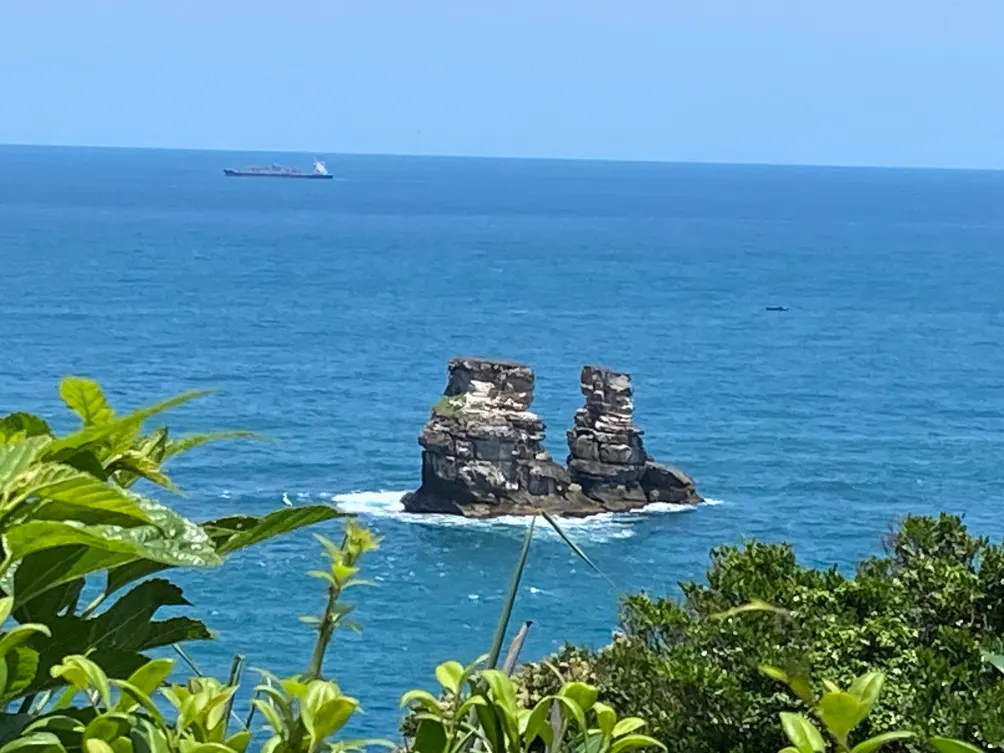鹹水寄居蟹的沙龍