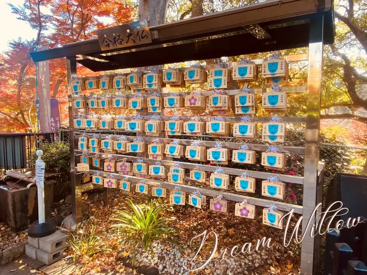 繪馬讓人有點眼花