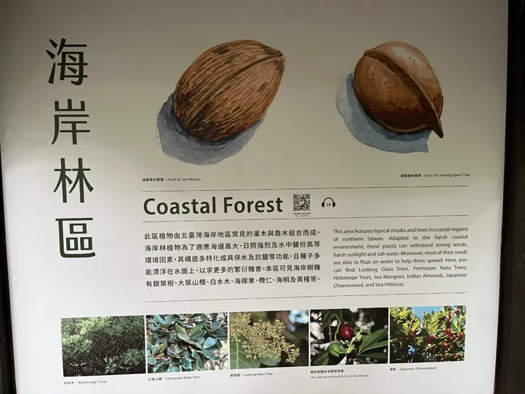 海岸林區介紹