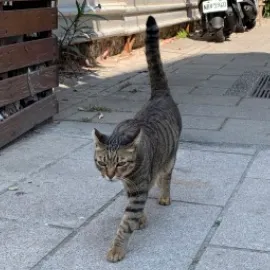 吱吱喳喳來閱讀的沙龍