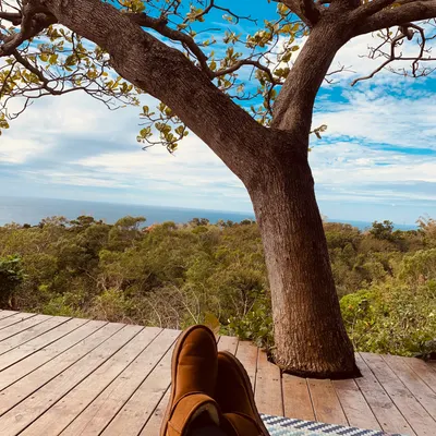 兔子漫步的沙龍