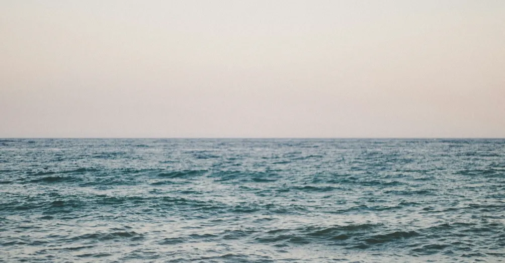 小紗 Sabrina 的沙龍