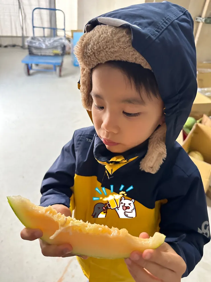 青農招待懿好多不同口味的哈蜜瓜。