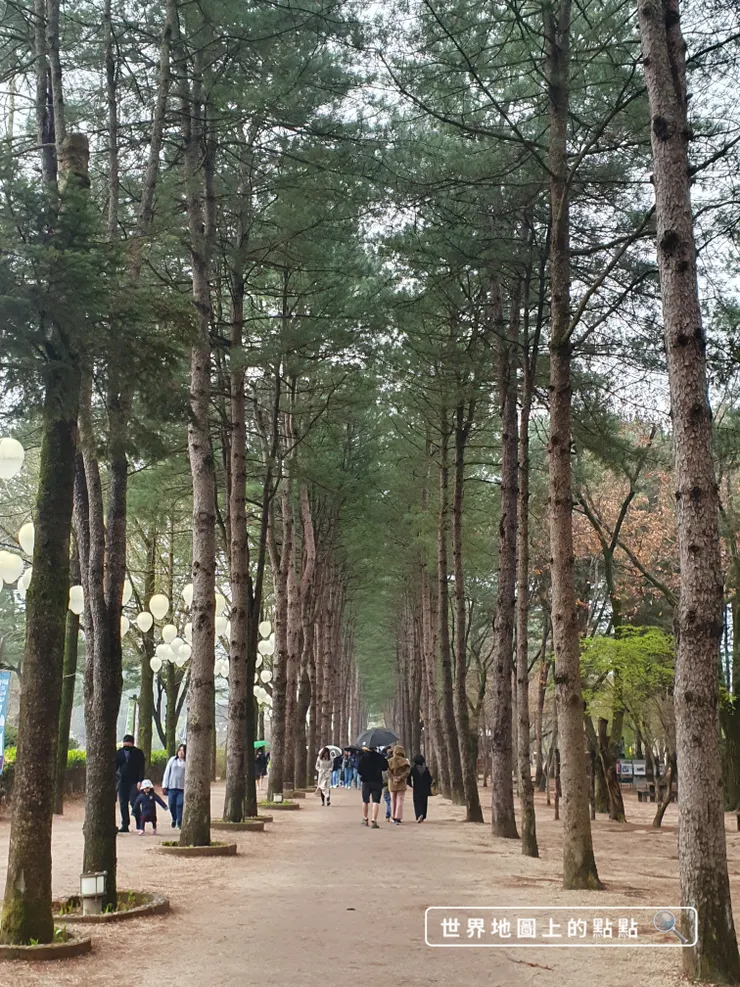 島中央林蔭大道