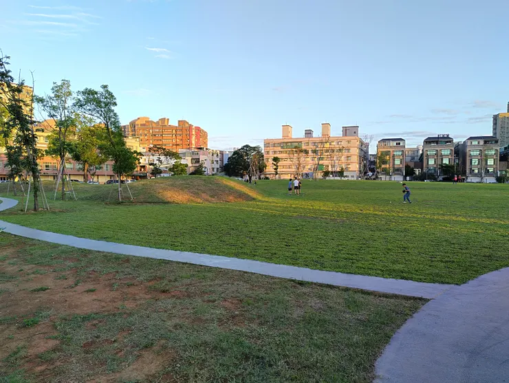 綠地上有人在玩球運動