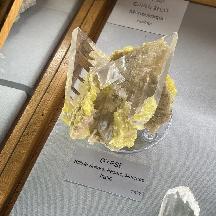 石膏共生自然硫 Bellisio Solfare, Pergola, Provincia di Pesaro e Urbino, Marche, Italy，拍攝於法國礦物博物館。