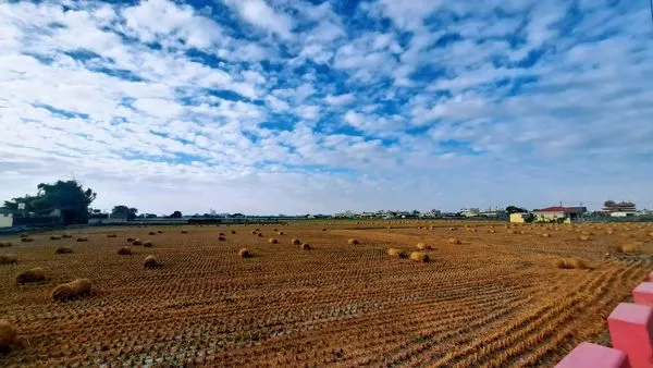 埤頭竹塘步道風景