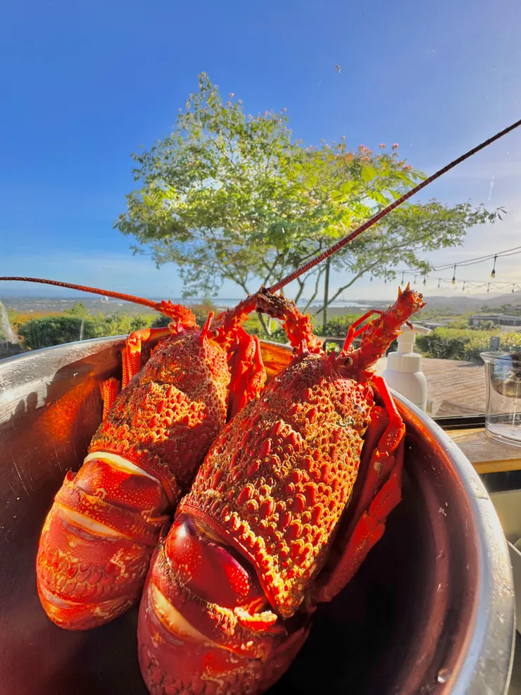 老ㄟ，明阿仔吃素喔～　（老年人梗）