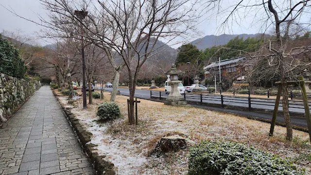 是個小陡的山坡，騎共享單車順便練腳力