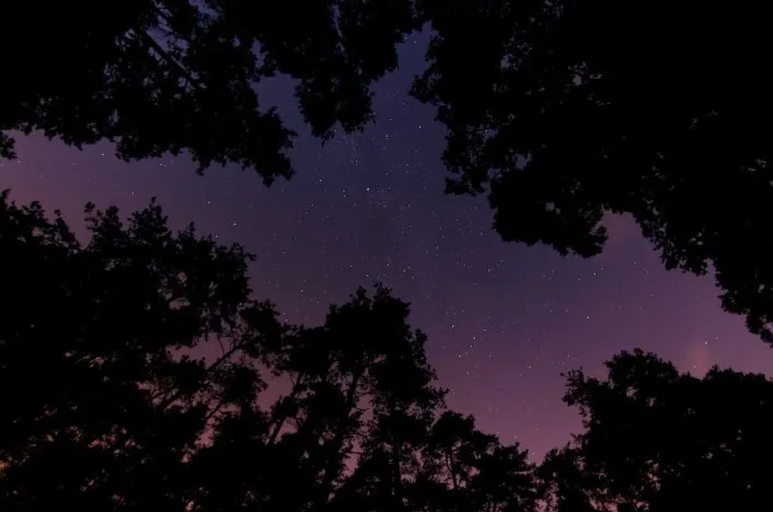 熬夜對身體影響很大