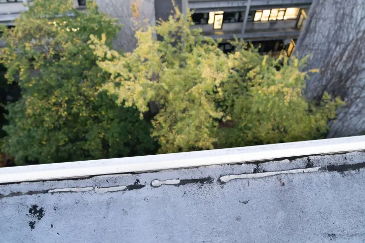 荷蘭一間醫院外「被失蹤」的防鳥刺，圖片來源：twitter/ @AukeFlorian