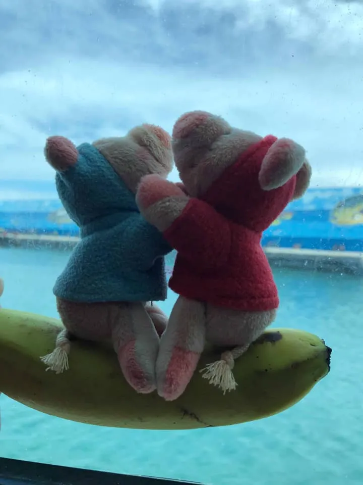 一個小時的乘風破浪，讓同行友人暈到不行