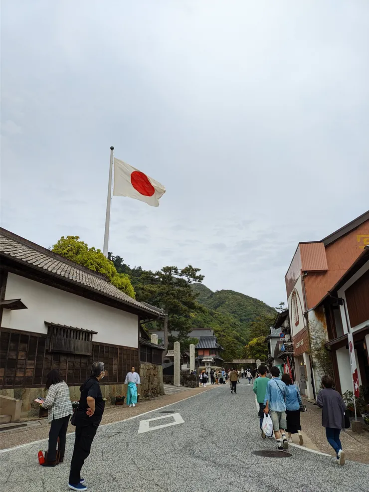 遠遠就看到的超大國旗