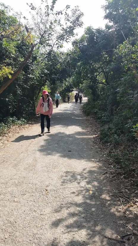 回到道路上拍的照片