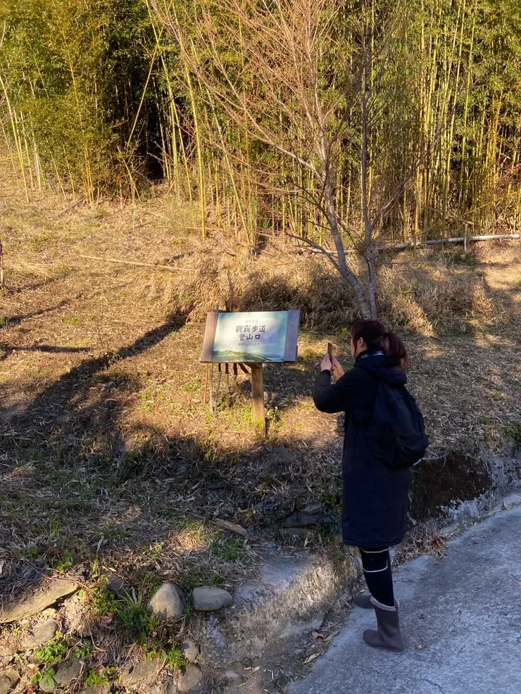眼前的小土坡就是觀霸步道的入口，右邊的水泥路是通往小木屋的，不要走錯