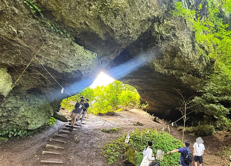 真的非常大~(自行拍攝)