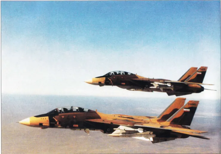 兩架伊朗雄貓，其中一架在翼根掛架上攜帶泥石飛彈。