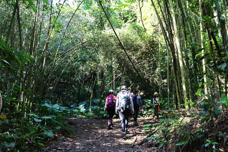 9:30玉女岔路，左為玉女山登山口不取，取右出關古道。