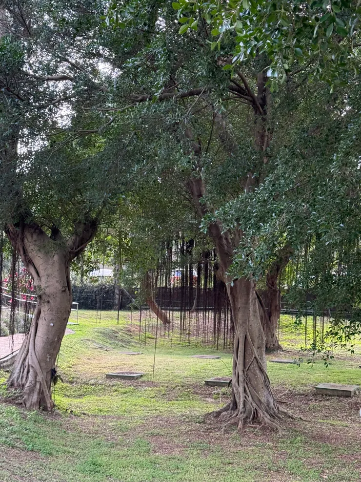 2026/03/17 散步風景