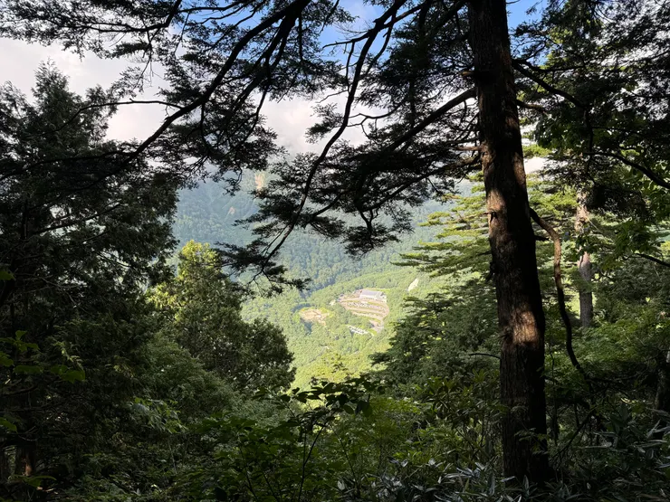 看得到剛剛下車的地方