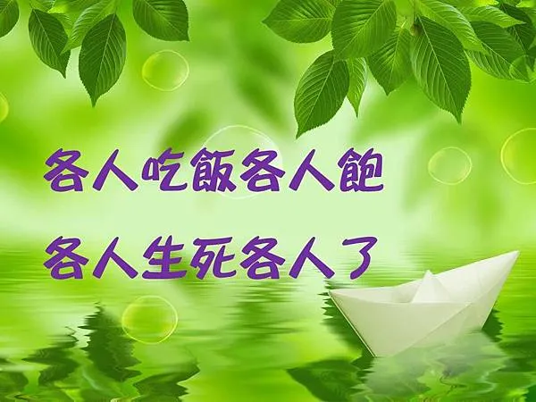 各人吃飯各人飽各人生死各人了
