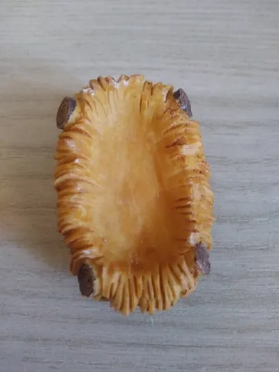 祝福大家聖誕佳節平安快樂!