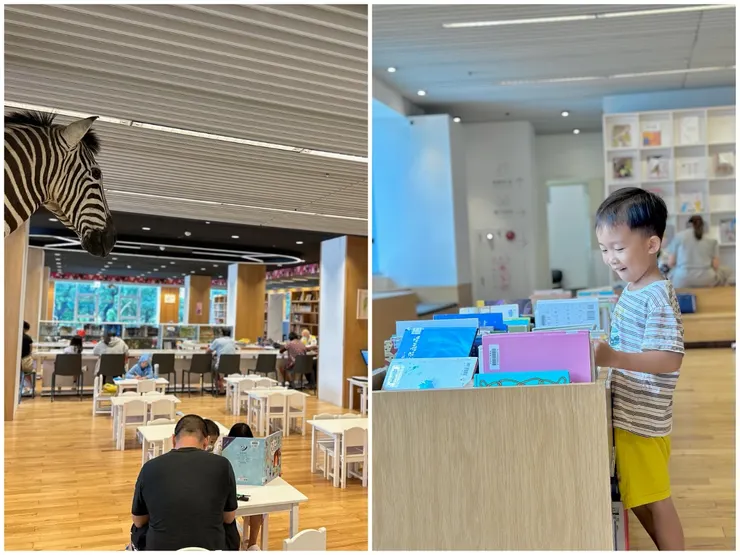 幼兒閱讀專區的書架高度都有特別降低，讓孩子輕鬆享受閱讀