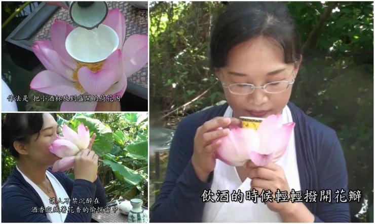 以荷花為托的美麗酒盞，名為「解語杯」