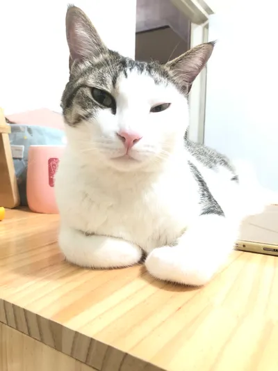 也許互動不需要太多的言語，卻讓人覺得一切都變得溫暖了起來