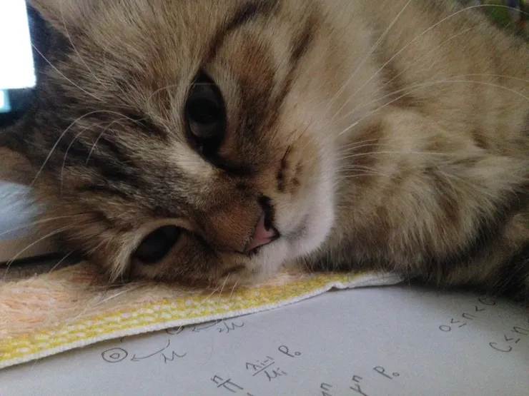 拍攝於 2015/11/18