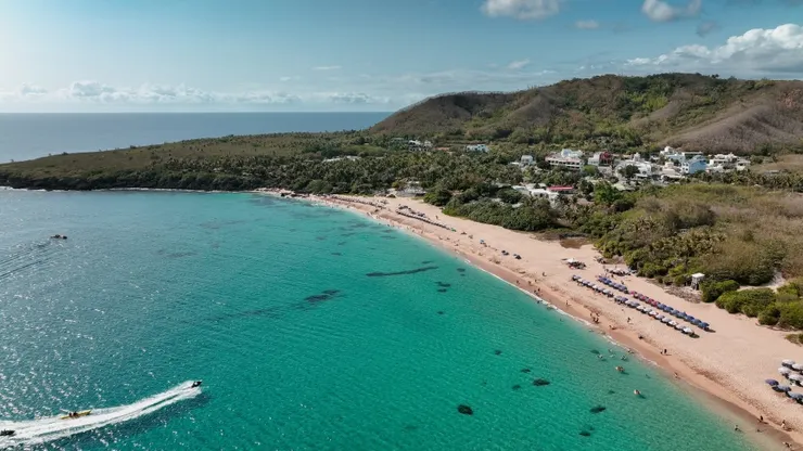 Source：Shutterstock