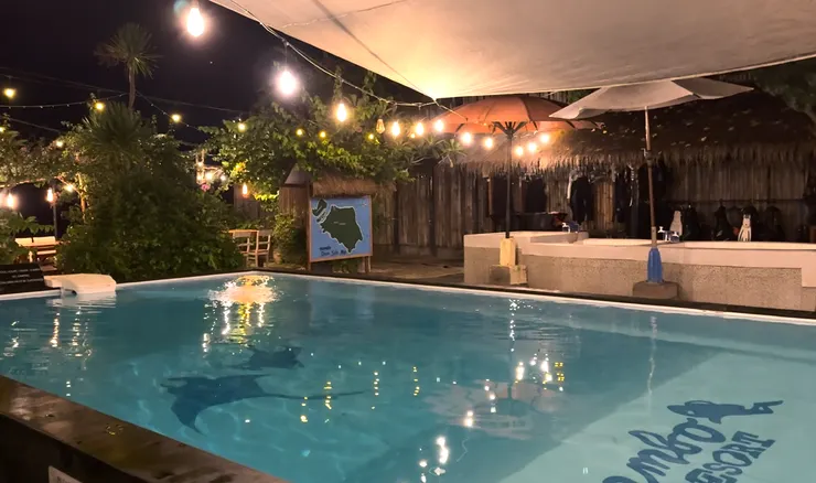 泳池底下有鬼蝠魟與你一起共游