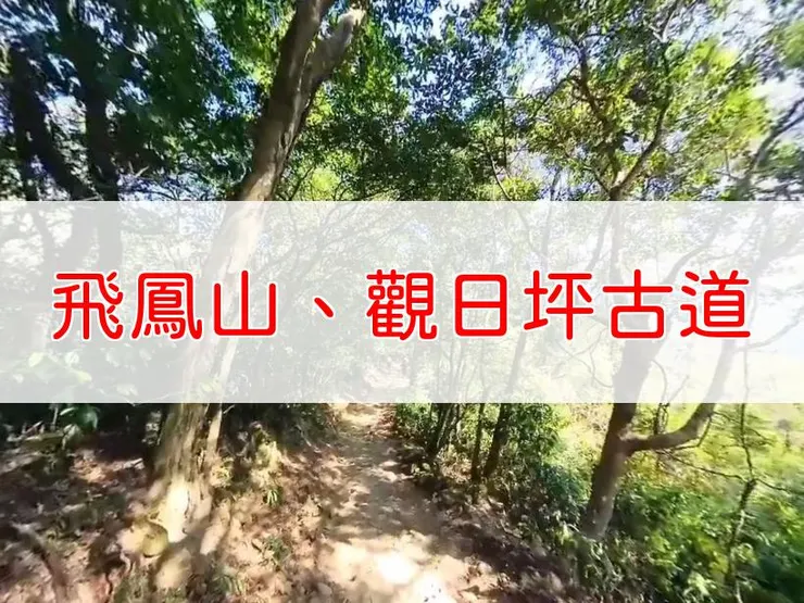 【新竹】小百岳-飛鳳山、觀日坪古道 | 全長：6公里 | 難度：低