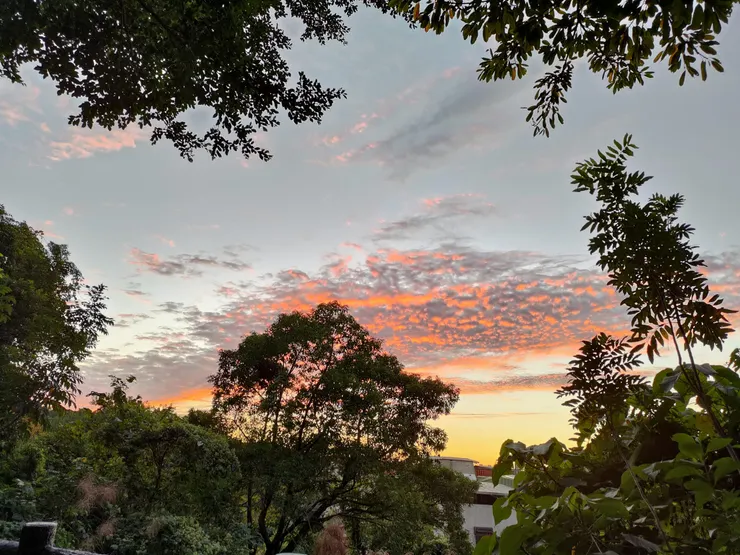 by 2021.12.15  後山公園的夕陽