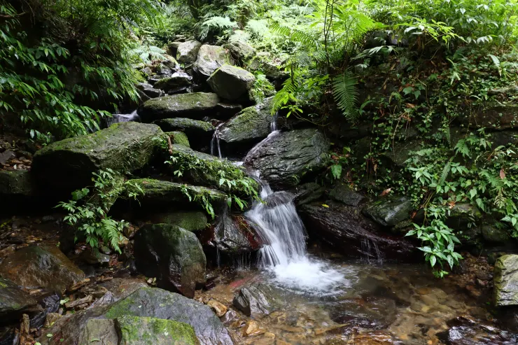一小股清泉奔流