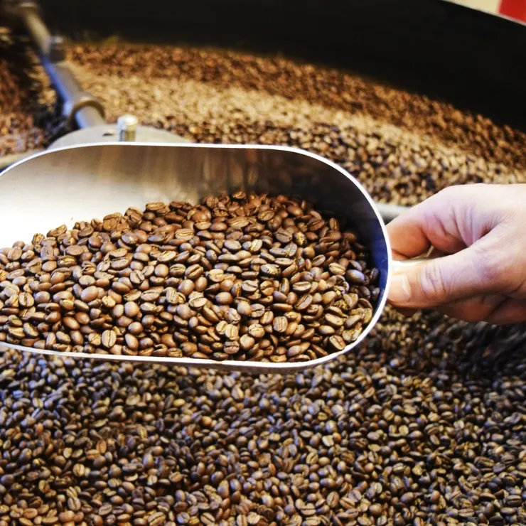 溫度較高，豆子內部的水份蒸發速度較快，有助於形成更多的糖分焦糖化合物，使咖啡味道更偏向焦糖、巧克力和堅果。