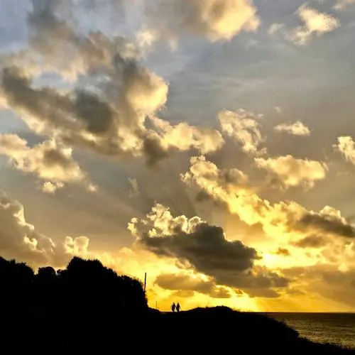 Photo by David Whyte