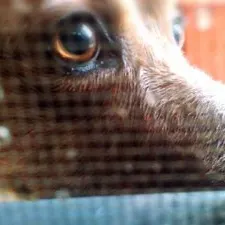 阿軒雜記的沙龍