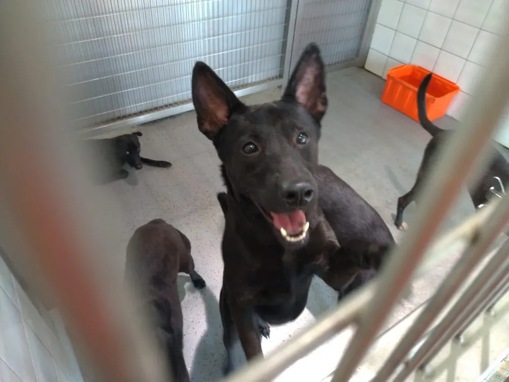 黑夜裡的微光紀錄