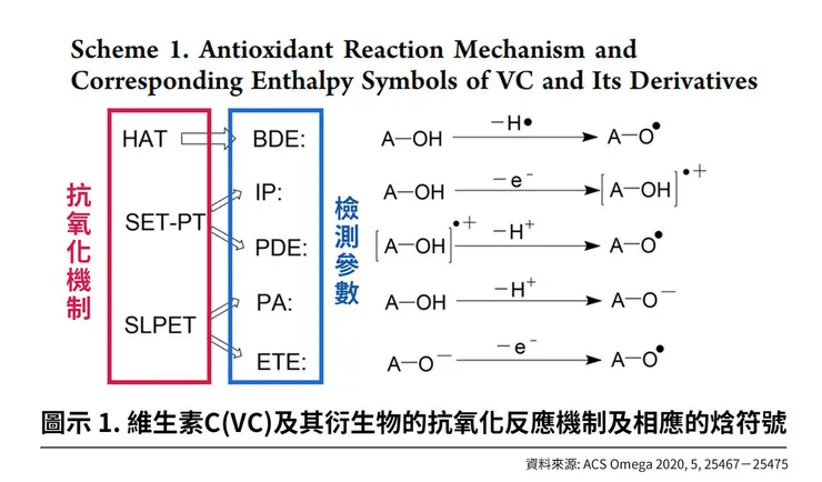 全球美白成份大事記