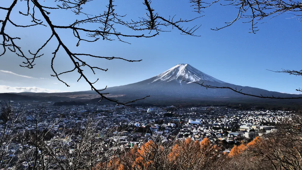 理工女子的射手雜談
