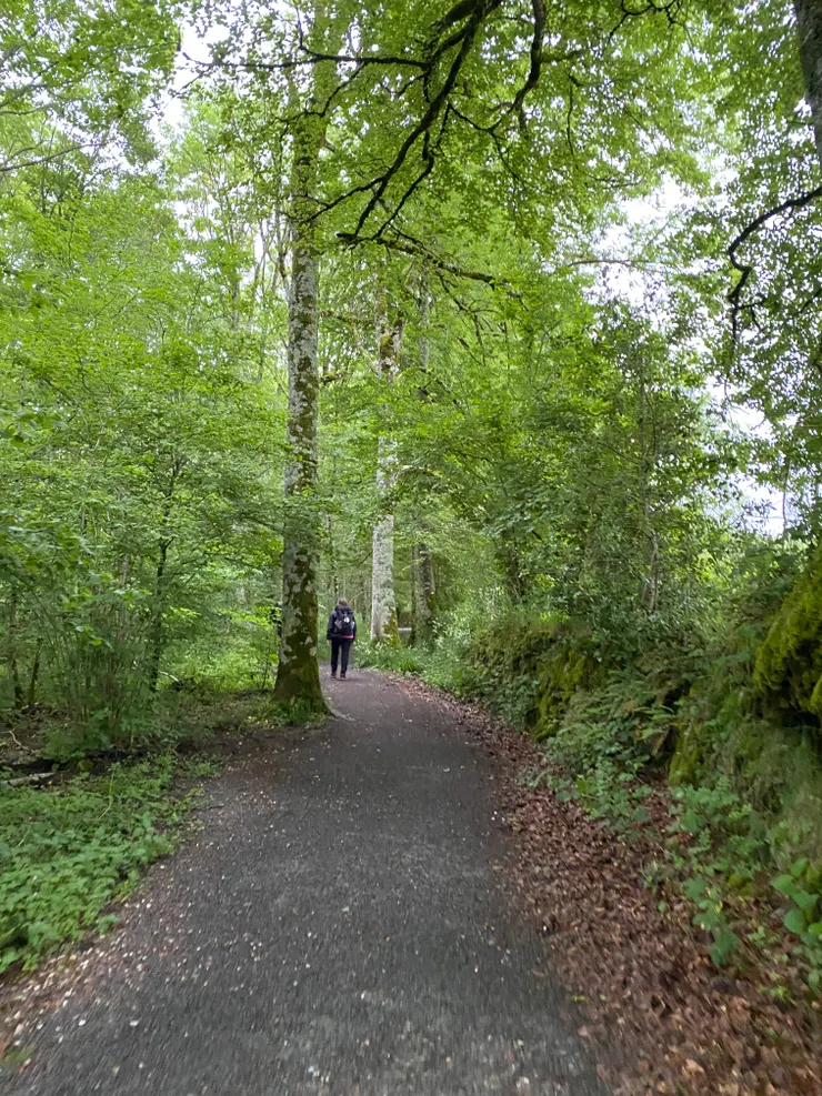 是個輕鬆走的一天