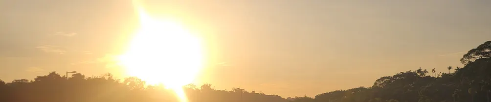 半心銀月的沙龍